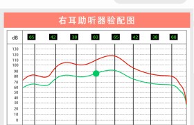 中德云声智能选配平台APP
