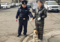 一边帮找狗，一边教养狗！南岗警方全力倡导“文明养犬”