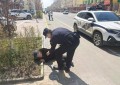 有“警”无险！老人街头摔倒，民警全程护送就医