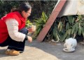 “喵星”驿站：一位平安志愿者的四百天守护日志