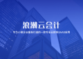 浪潮云会计：小微企业需要财务软件吗